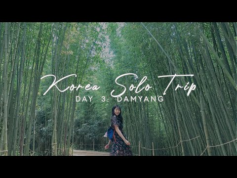 KOREA SOLO TRIP EP3: A Day In Damyang 🎋 | sunnysheryl