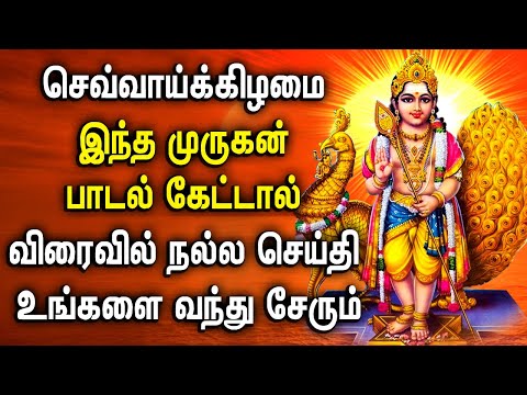 POWERFUL TUESDAY MURUGAN DEVOTIONAL SONGS | Lord Murugan Tamil Songs | Murugan Bhakti Padalgal