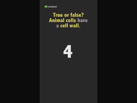 Biology Quiz: True or false? Animal cells have a cell wall.