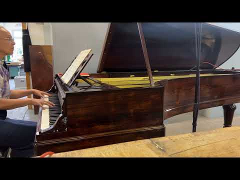 Pleyel 245 Grand Patron, Grand modèle de concert, Claudia Klinkenberg, Chopin, Raindrop prelude