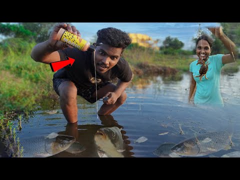 இந்த Liquid வைத்து மீன் பிடிக்க முடியுமா …? Fish 🎣 Liquid