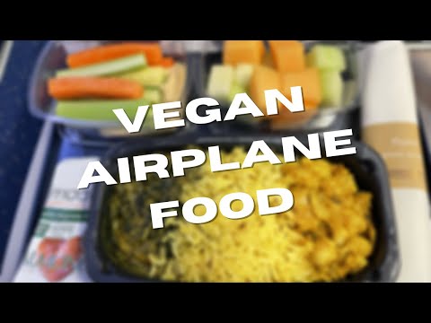 Vegan Airplane Food on KLM Royal Dutch Airlines | US to The Netherlands #shorts