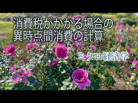 ミクロ経済学・消費税がかかる場合の異時点間消費理論の計算問題（国家一般職）ーHandout