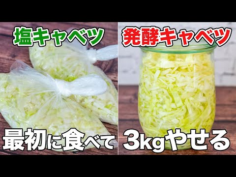 「万能！塩キャベツと発酵キャベツ」簡単作り置き！3kgやせる！免疫力アップ！安くて美味しいキャベツのレシピ