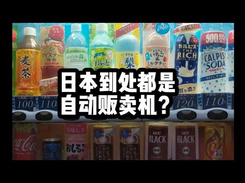 【兰奖的留学日记】日本到处都是自动贩卖机？冬天还会有热饮。今天白嫖海鲜大餐#我的vlog #美食 #深夜食堂 #自动贩卖机 #留学