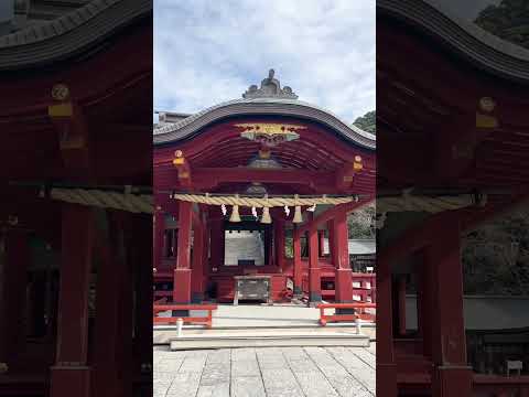 鶴岡八幡宮に朔日参りへ行ってきました！ #鎌倉 #鶴岡八幡宮 #朔日参り #神社 #神社仏閣 #鎌倉散歩 #japan #kamakura #湘南