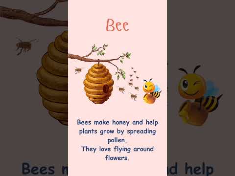 Insects and Bugs We See #tinycreatures#kidslearning #learningthroughfun