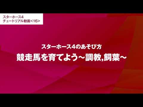 #16【スターホース4のあそび方】競走馬を育てよう～調教,飼葉～