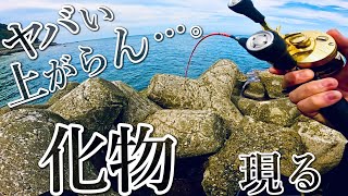 【穴釣り】えげつない引きの化物がヤバすぎました