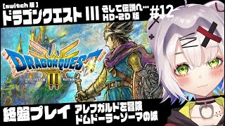 【#DQ3 #ドラクエ3リメイク】終盤プレイ　アレフガルドを冒険　ドムドーラ～ゾーマの城  #12「ドラゴンクエストIII　そして伝説へ…HD-2D版」【ネタバレあり】#レトロゲーム