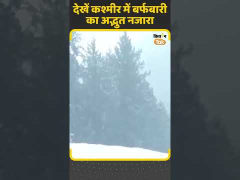 Jammu Kashmir Snowall: जम्मू-कश्मीर के डोडा में हुई बर्फबारी, देखें ये वीडियो | Kisan Tak