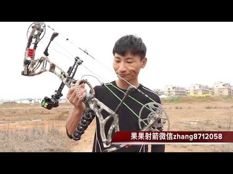 熊库玛kuma 复合弓果果射箭器材2019 Bear Archery Kuma 30