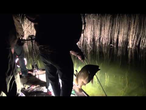 Morning Storm Outdoors BowFishing Sheephead