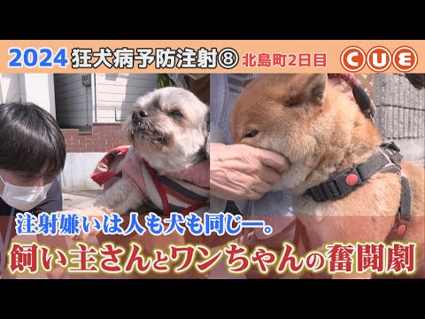 2024狂犬病予防注射　北島町でひっそり行われたワンコたちの戦い⑧