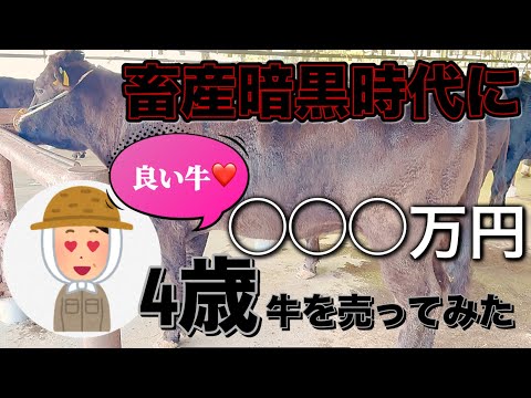 「よか牛やね」→売ってみた結果…◯◯◯万円！！【成牛セリ速報】