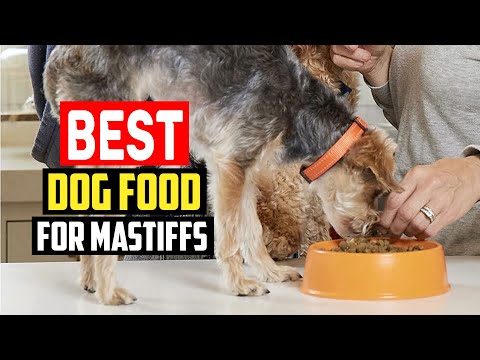 ✅ Top 5 Best Dog Food for Mastiffs in 2023