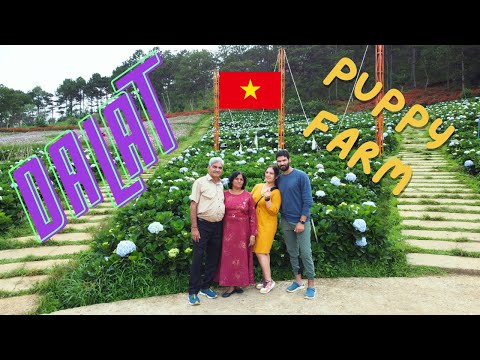 PUPPY FARM DALAT | VIETNAM | FAMILY TRIP