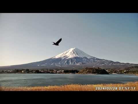 【LIVE】河口湖　大石公園　富士山ライブカメラ【ライブ】　"mount fuji live camera" from Lake Kawaguchiko