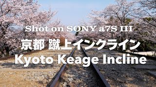 Keage Incline Cherry Blossom Kyoto Cinematic 蹴上インクライン 桜 京都シネマティック動画  SSony a7s3 #世界23周の旅