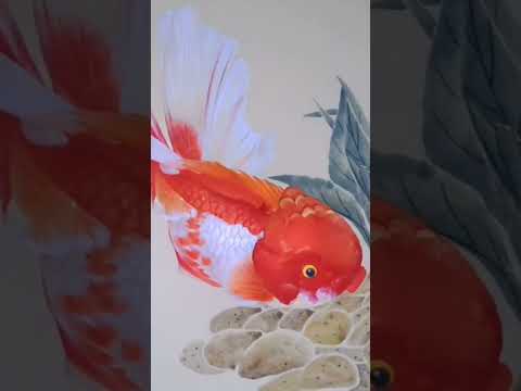 Another example of animated CBP gold fish