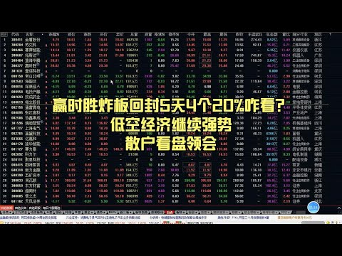 赢时胜炸板回封5天4个20%咋看？低空经济继续强势，散户看盘领会