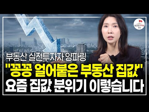 "2억 오를 때, 4.3억 올랐다" 이걸 모르면 다 놓치는 겁니다 (부동산 실전투자자 양파링ㅣ3부)