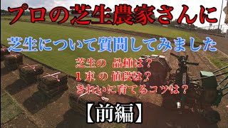 芝生農家さんに会ってお話を聞いてきました【前編】