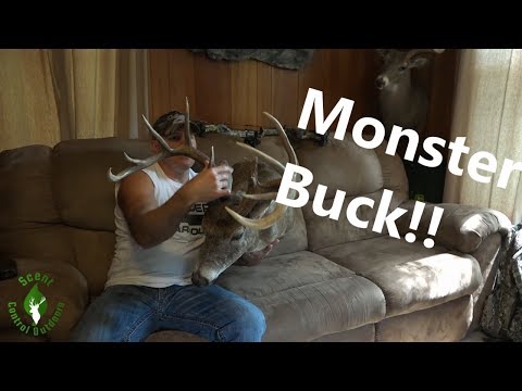 A Monster Buck From Ohio! - Storytime with SCO