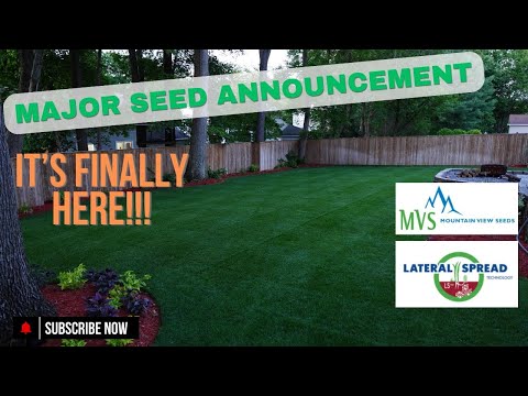 Major Seed Announcement - ITS FINALLY HERE!!!