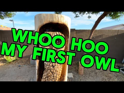 Wood carving owl Shockingly Good Outcome!!