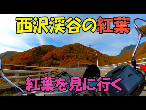 【CB1100EX】20201101　西沢渓谷の紅葉！　紅葉を見に行く【モトブログ】