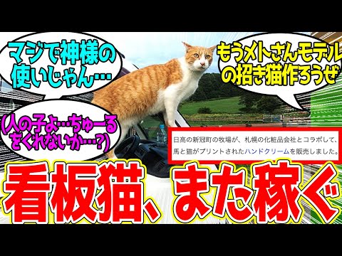 メトさん ← ふらっと現れて牧場を救い続けるデカ猫…に対するみんなの反応！【競馬 の反応集】