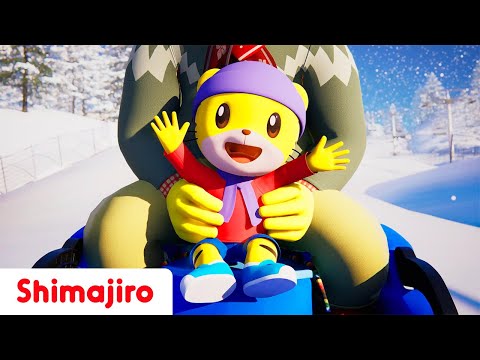 Enjoying snowy days! ❄️⛄🛷 | Play & Sing with Shimajiro | Kids songs & Nursery Rhymes