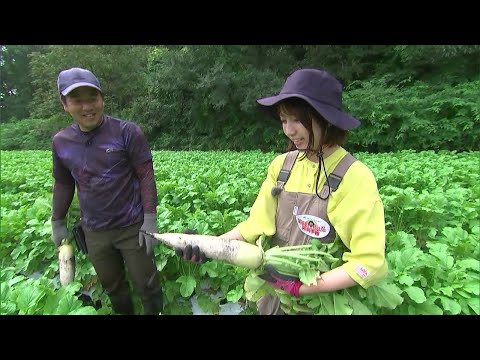 いよいよ初出荷！白くてつやつや美肌な新見市特産の「ダイコン」｜【笑味ちゃん天気予報】2024年9月17日放送