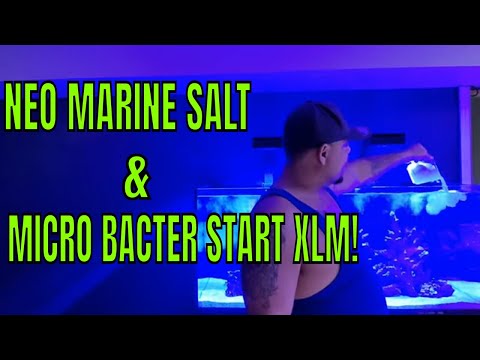 Adding Salt to red sea reefer 350