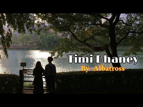 Timi bhaney -ALBATROSS