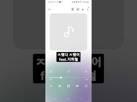 ㅈ됐다 ㅈ됐어 오케스트라 커버 feat.지하철