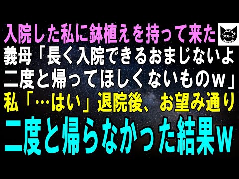 【スカッとする話】入院した私に菊の鉢植えを持って来た義母「長く入院できるおまじないよ！あんたには二度と帰って来てほしくないからｗ」私「…はい」退院後、本当に二度と帰らなかった結果ｗ【修羅場】