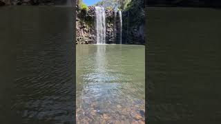 Cascade Waterfalls in NSW: DANGAR FALLS Walking Track