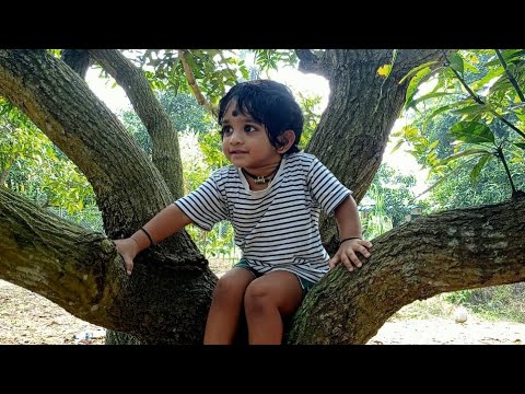 How to do chapathi by my nephew || మా మేనల్లుడు చపాతీ ఎలా చేసాడో చూడండి