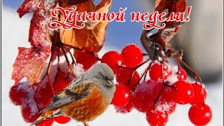 🌹💐🥀С ДОБРЫМ УТРОМ ПОНЕДЕЛЬНИКА!УДАЧНОЙ НЕДЕЛИ. ЗАМЕЧАТЕЛЬНАЯ ПЕСНЯ! ОБЯЗАТЕЛЬНО ПОСЛУШАЙТЕ😁