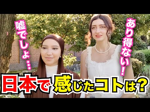 「これが日本なの？まるで夢の中にいる気分！」外国人観光客にインタビュー｜ようこそ日本へ！Welcome to Japan!