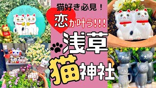 【猫好き必見！恋愛成就！！】浅草にある猫神社（今戸神社）