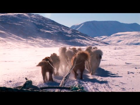 Dogsled route to the Akshayukk Pass - Akshayuk Pass 2008 expedition