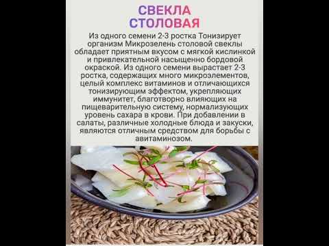 Микрозелень)))