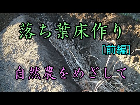 【落ち葉床】落ち葉床での畝作り［前編］