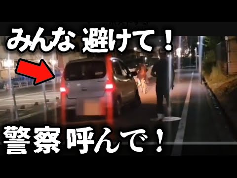 【ドラレコ】パンク車が街灯なぎ倒し歩行者らに突っ込む／路地から安全確認せず飛び出し衝突、大破の瞬間