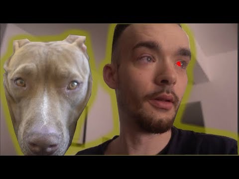 MY DOG DID THIS TO ME!