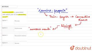 Lamina propria is associated with which part of the alimentary canal?