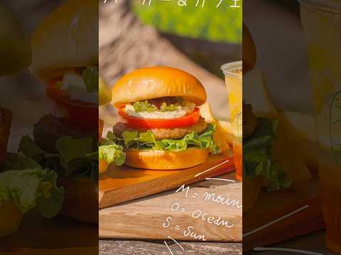 🌸 Mountain Ocean Sun: A MOS Burger Cafe? - softypapa shorts 🍔☕🇯🇵